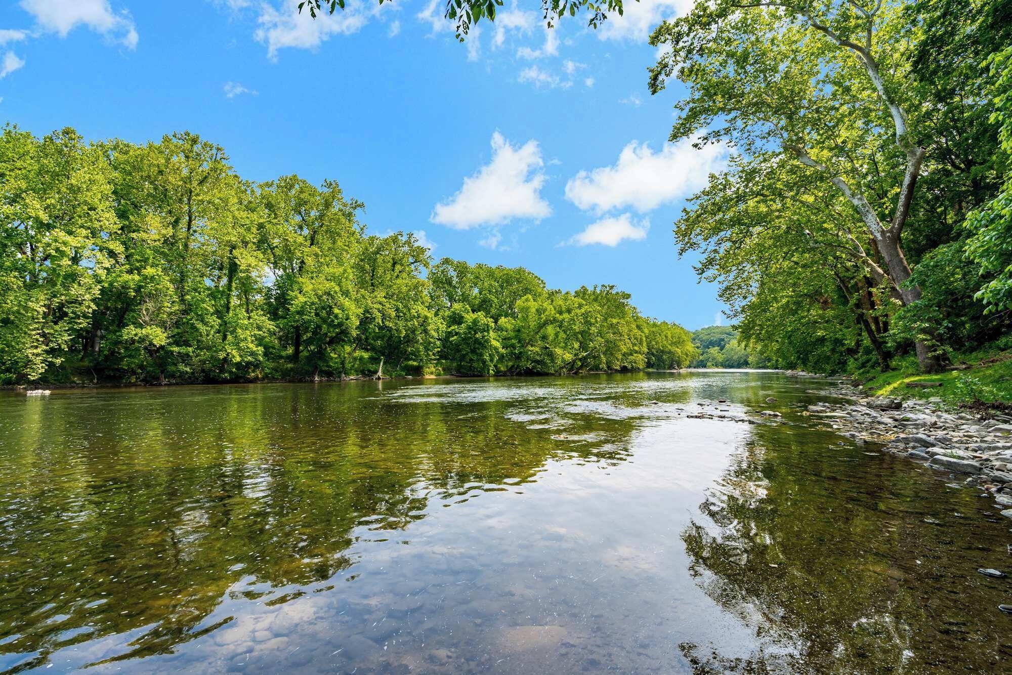 Un río rodeado de abundante follaje verde bajo un cielo despejado.