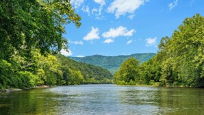 Un río rodeado de un bosque verde y densa vegetación con colinas al fondo.