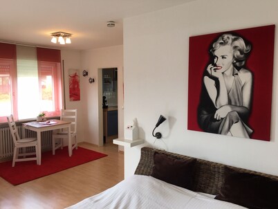 Sunny, cosy and quiet appartment with a view to Salzburg, close to the city