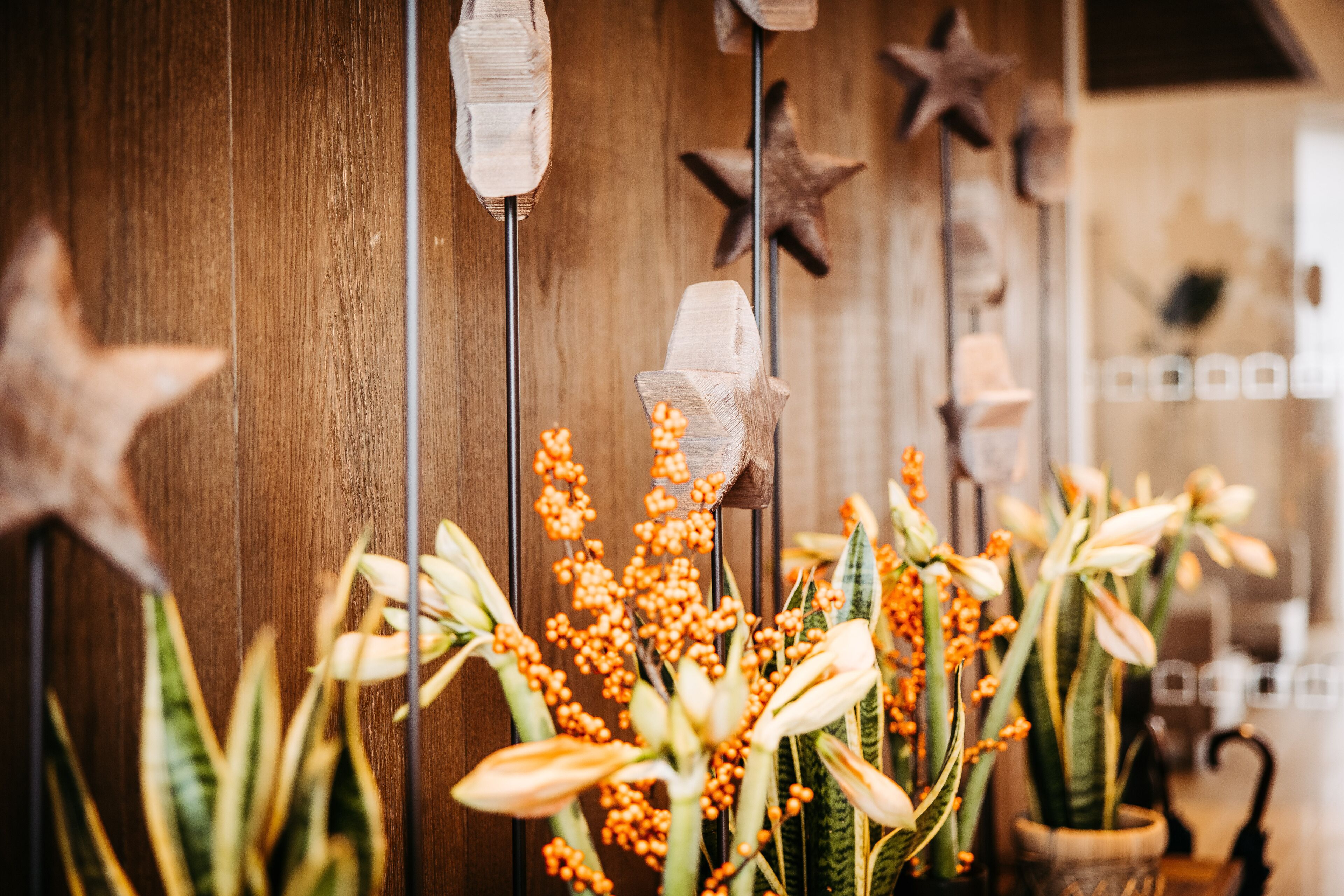 A wooden wall with star-shaped decorations and a variety of plants.