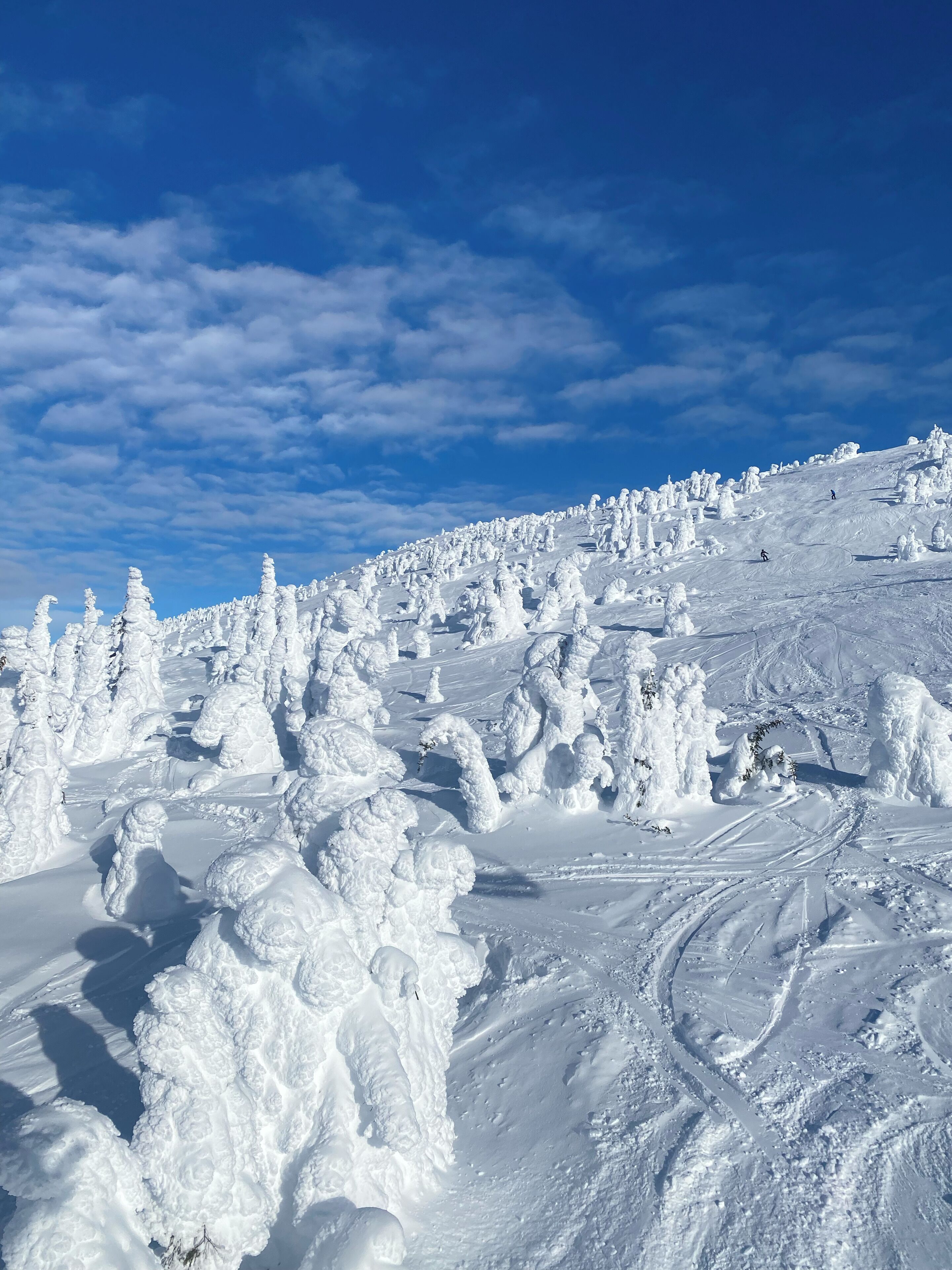 Une piste de ski enneigée, avec des traces de skis et un ciel bleu dégagé.