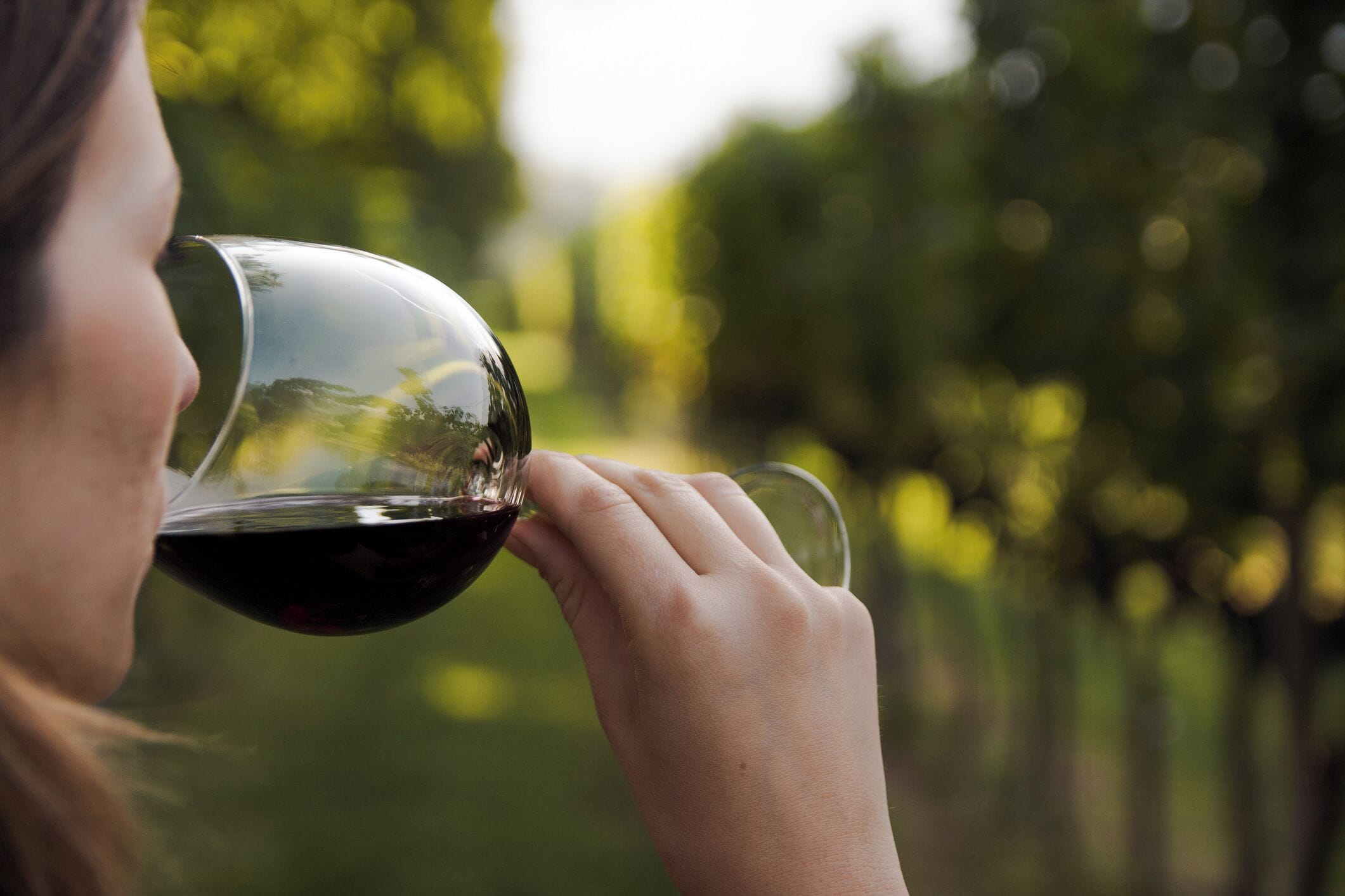 Una persona sosteniendo una copa de vino.