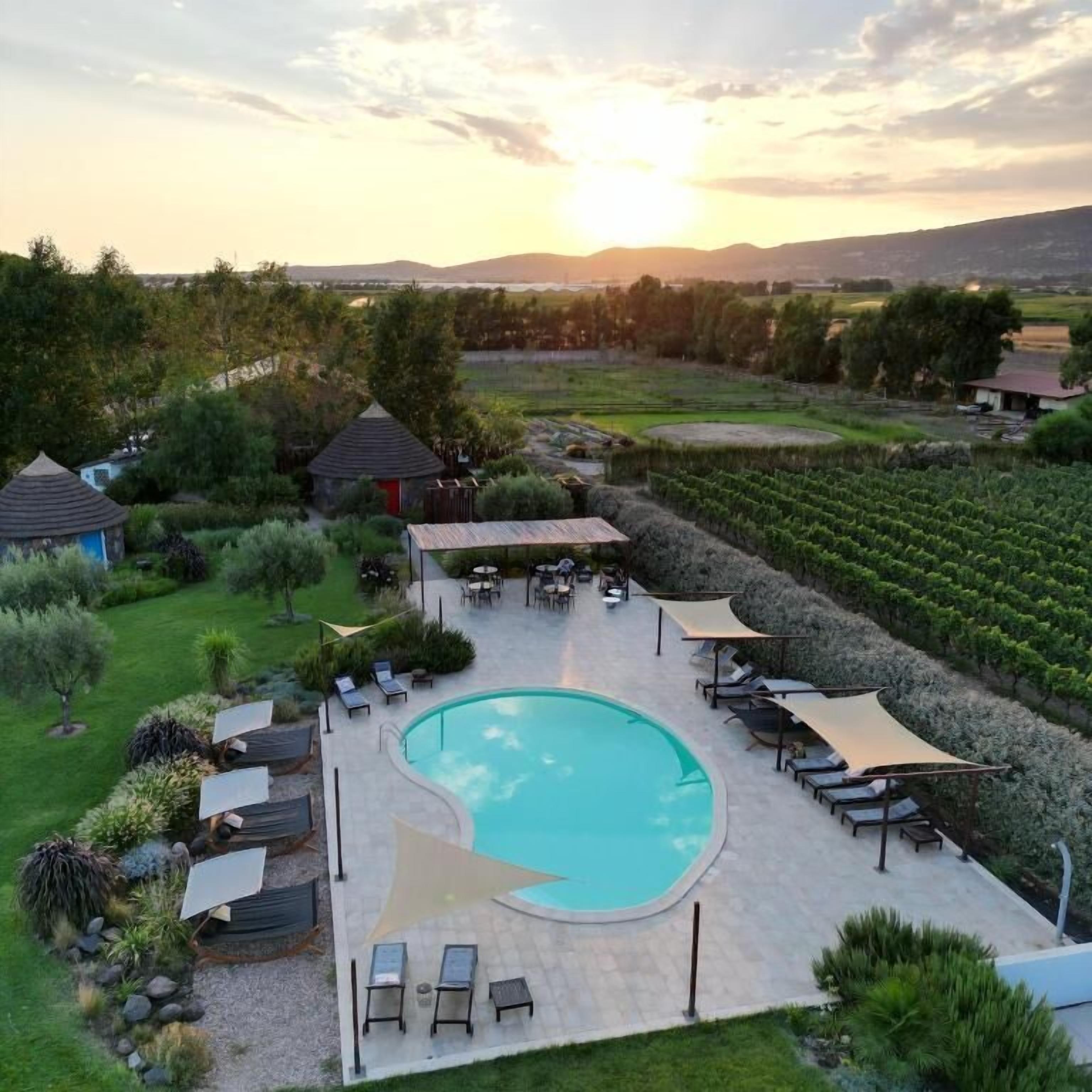 Una piscina al aire libre, sombrillas, sillones reclinables de piscina