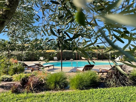 Outdoor pool, pool umbrellas, sun loungers