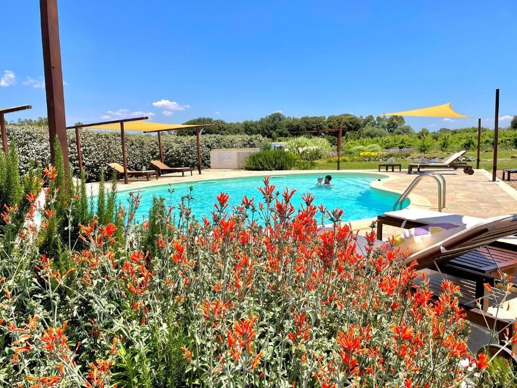 Een buitenzwembad, parasols bij het zwembad en ligstoelen