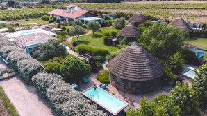 Una villa con piscina, varias construcciones con techo de paja y un viñedo al fondo.