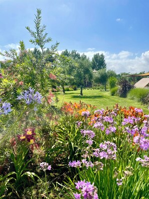 Exterior - Is Cheas wine farm boutique hotel (San Vero Milis)