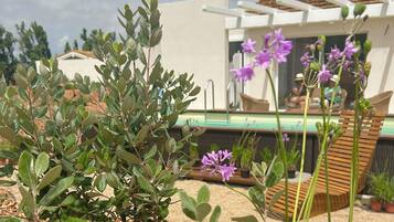 Zona exterior moderna amb piscina, terrassa de fusta i diferents plantes.
