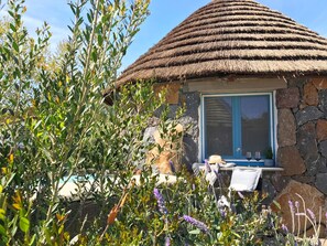 Bungalow with Small Pool | Premium bedding, minibar, individually decorated, individually furnished
