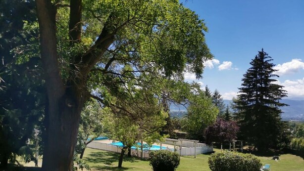 Um jardim exuberante com piscina, árvores e vista para montanhas distantes.