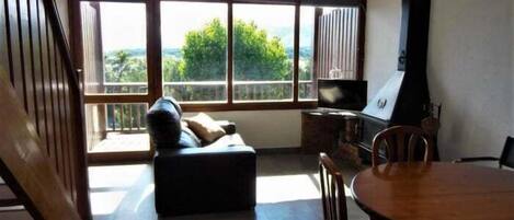 Télévision, cheminée, chaßne hi-fi