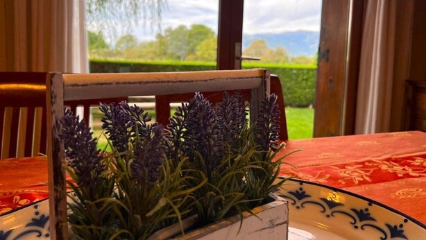 Ein Tisch mit floraler Dekoration und Blick auf eine grüne Landschaft durch ein Fenster.