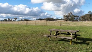 Une table de pique-nique dans un champ d’herbe, avec une clôture et des arbres en arrière-plan.