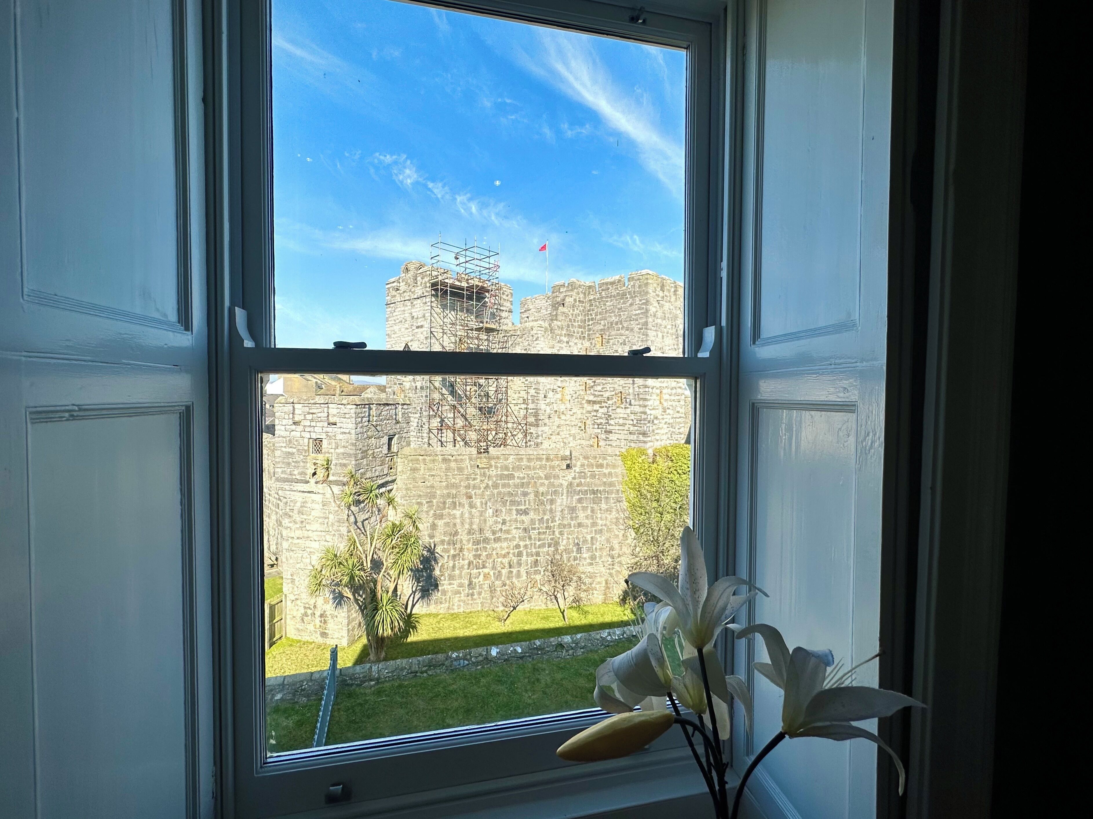 Una ventana con vista a un edificio de piedra con andamios, un pequeño jardín y una flor blanca en un florero.