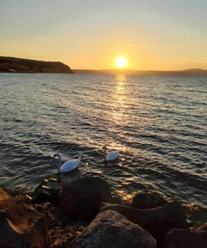 Beach nearby - The Lake Loft (Anguillara Sabazia)