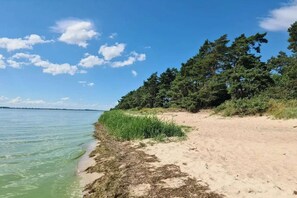 Ranta lähistöllä