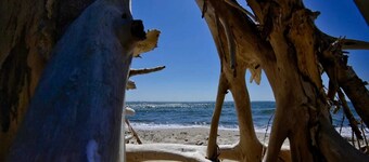 Gutshaus Zicker in Garz