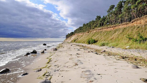 A sandy beach with scattered rocks and a grassy embankment with trees. - Gutshaus Zicker in Garz (Garz)