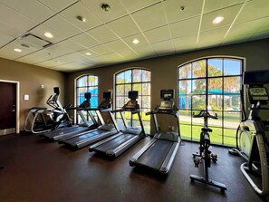 A gym with treadmills, ellipticals, and a stationary bike, large windows with a view of greenery, and a ceiling with recessed lighting.