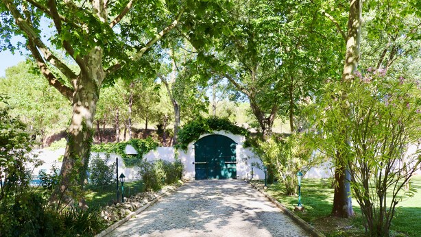 A cobblestone pathway leading to a green archway surrounded by lush greenery.