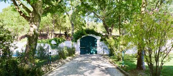 Quinta da Barreira - Villa de 5 chambres, située dans un vignoble 
