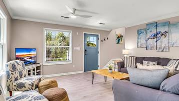 Una televisión, un reproductor de DVD, libros