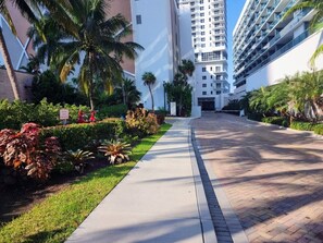 A pathway flanked by palm trees and lush greenery, leading to a modern building with multiple floors and balconies. - Luxury Corner Unit With Intercoastal Views-CS48 (Hollywood)