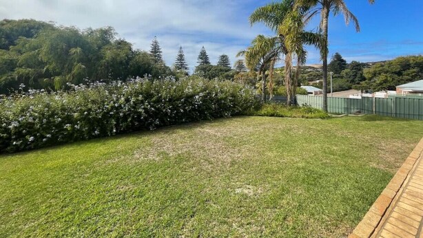 A grassy outdoor area with a wooden deck, palm trees, and a dense shrubbery. - The EOS 2, Esperance (Esperance)