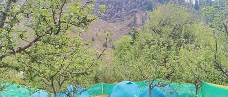 Área da propriedade