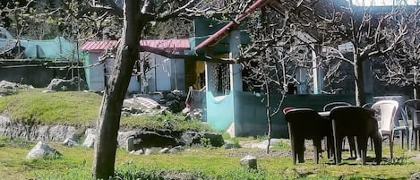 A rural setting with a tree, a small building, and a few plastic chairs.