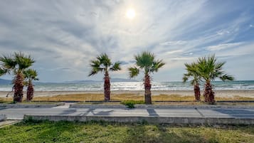 Accommodatie ligt op het strand, ligstoelen