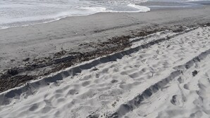 A sandy beach with footprints and seaweed, leading to the ocean under a cloudy sky.