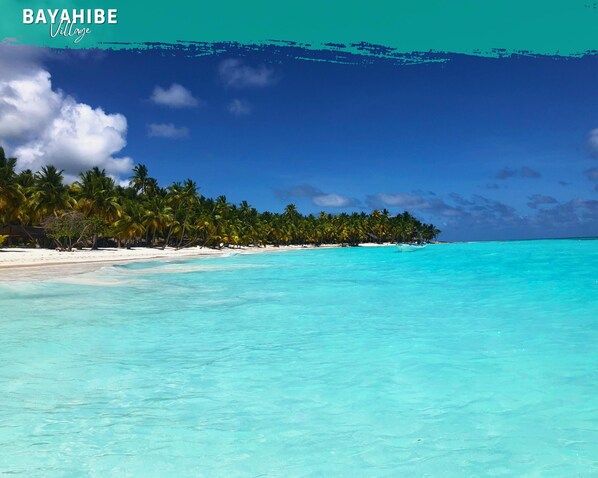 Beach nearby, white sand, sun loungers, beach bar - Tribe Inn & Rooftop Lounge (San Rafael del Yuma)