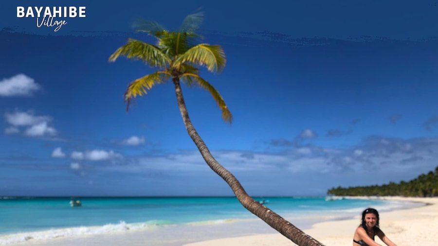 Tribe Inn & Rooftop Lounge