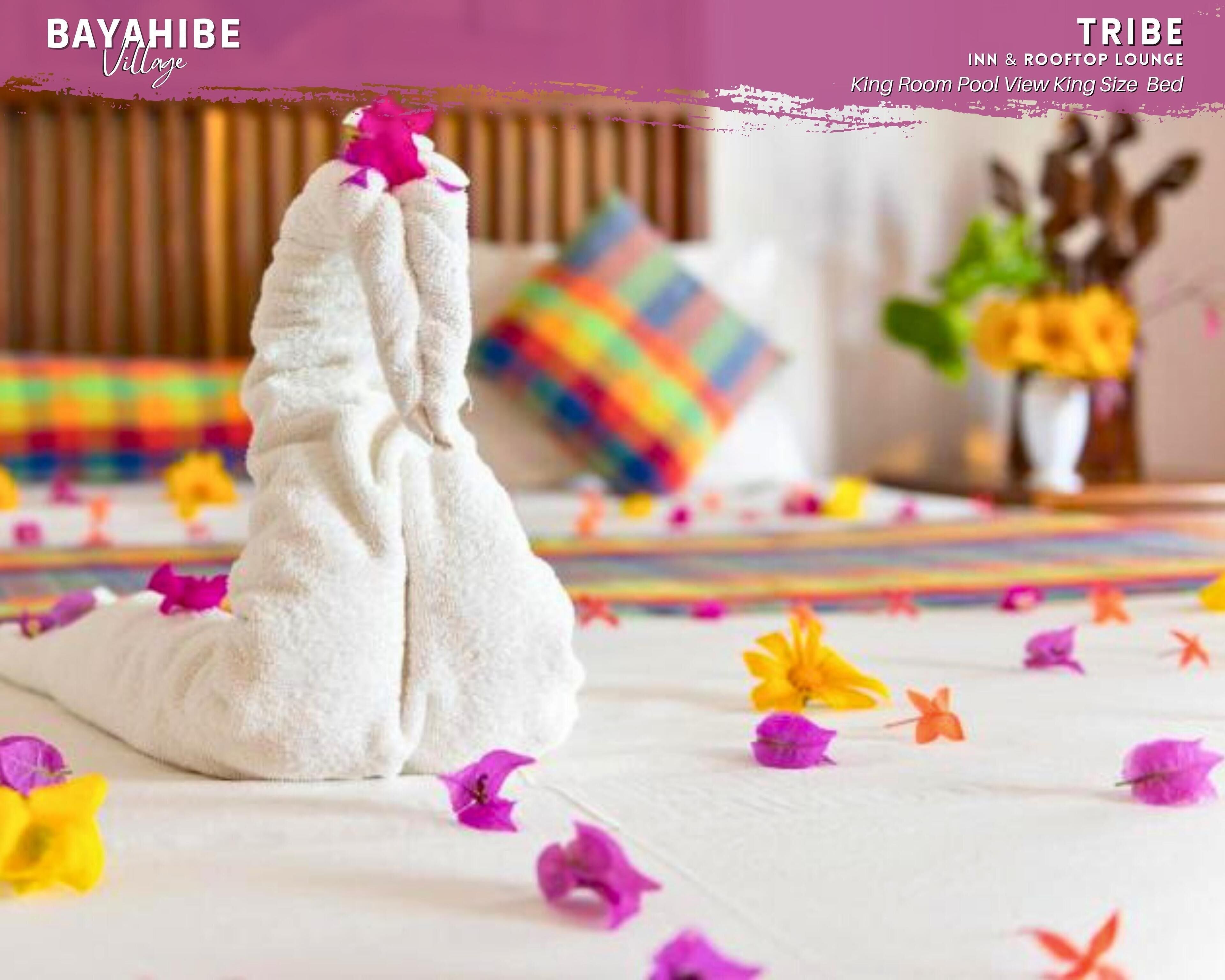 Photo - Tribe Inn & Rooftop lounge