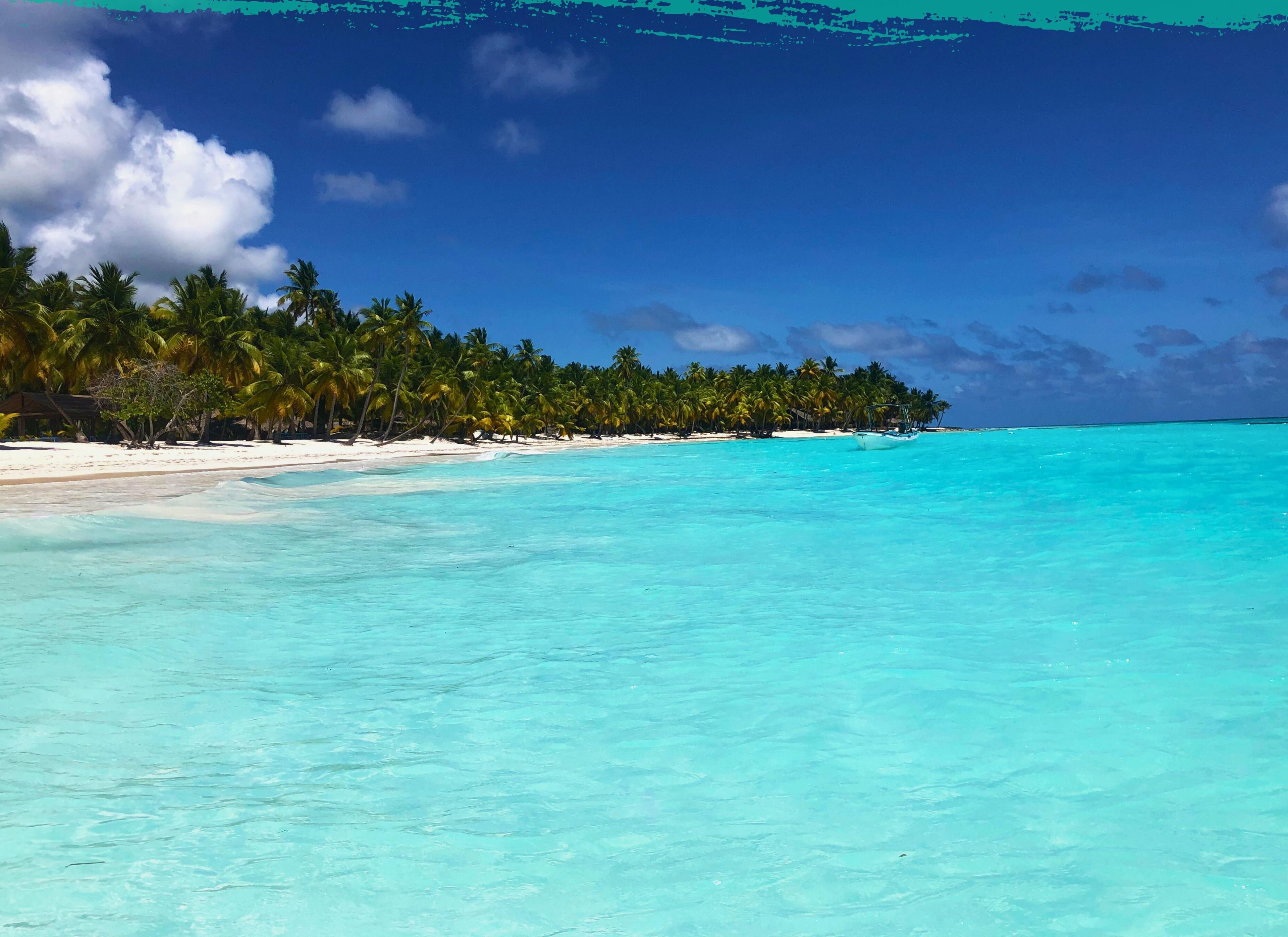 Ein Strand mit türkisblauem Wasser, Palmen und blauem Himmel.