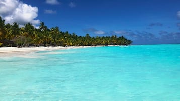 Ein Strand mit türkisblauem Wasser, Palmen und blauem Himmel.