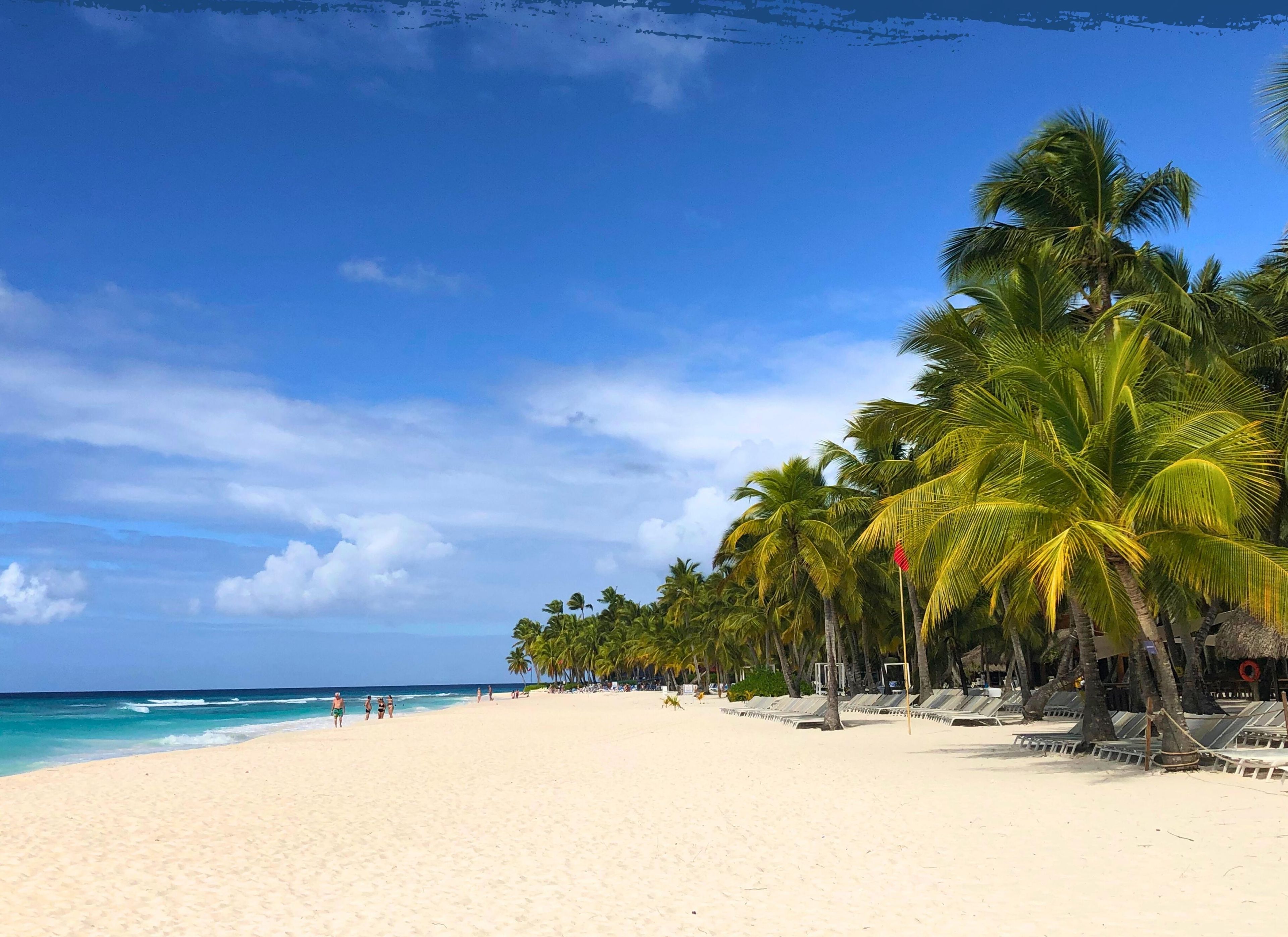 Ein Strand mit weißem Sand, Palmen und einem klaren, blauen Himmel.