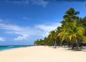 A beach with white sand, palm trees, and a clear blue sky.