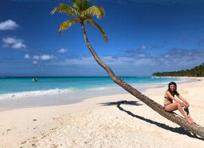 A beach scene with a palm tree, clear blue sky, and a person sitting on a tree branch.