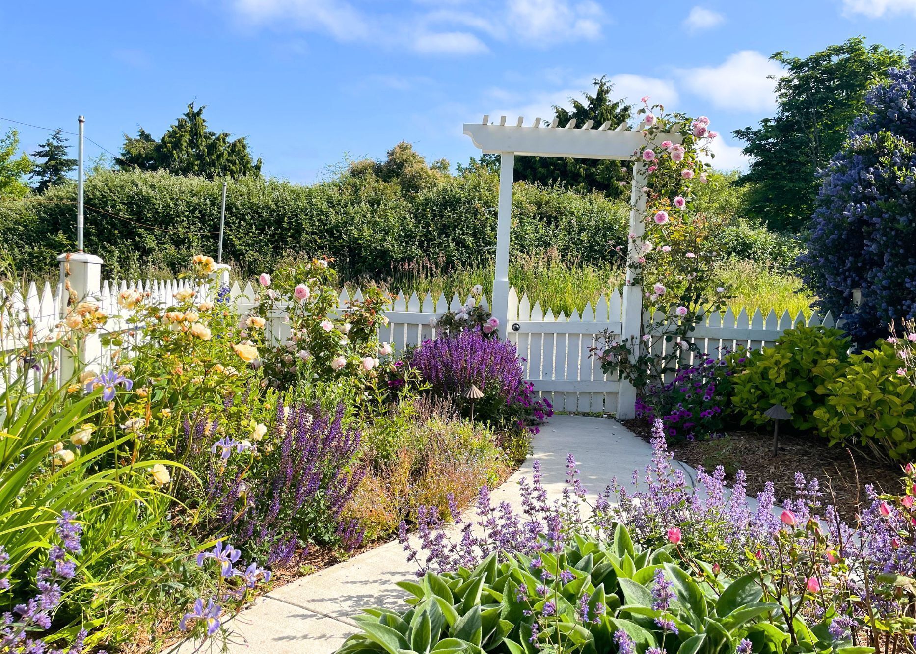 Un jardin agrémenté d’une pergola blanche, d’une clôture en bois peinte en blanc et de diverses plantes à fleurs.