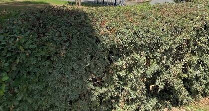 Ferme Familiale Rénovée Dans un Village Tranquille