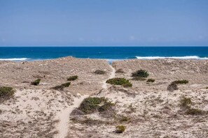 Una playa cerca