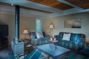 Smart TV, fireplace, stereo