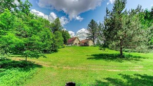A house with a red roof, surrounded by lush green trees and grass.