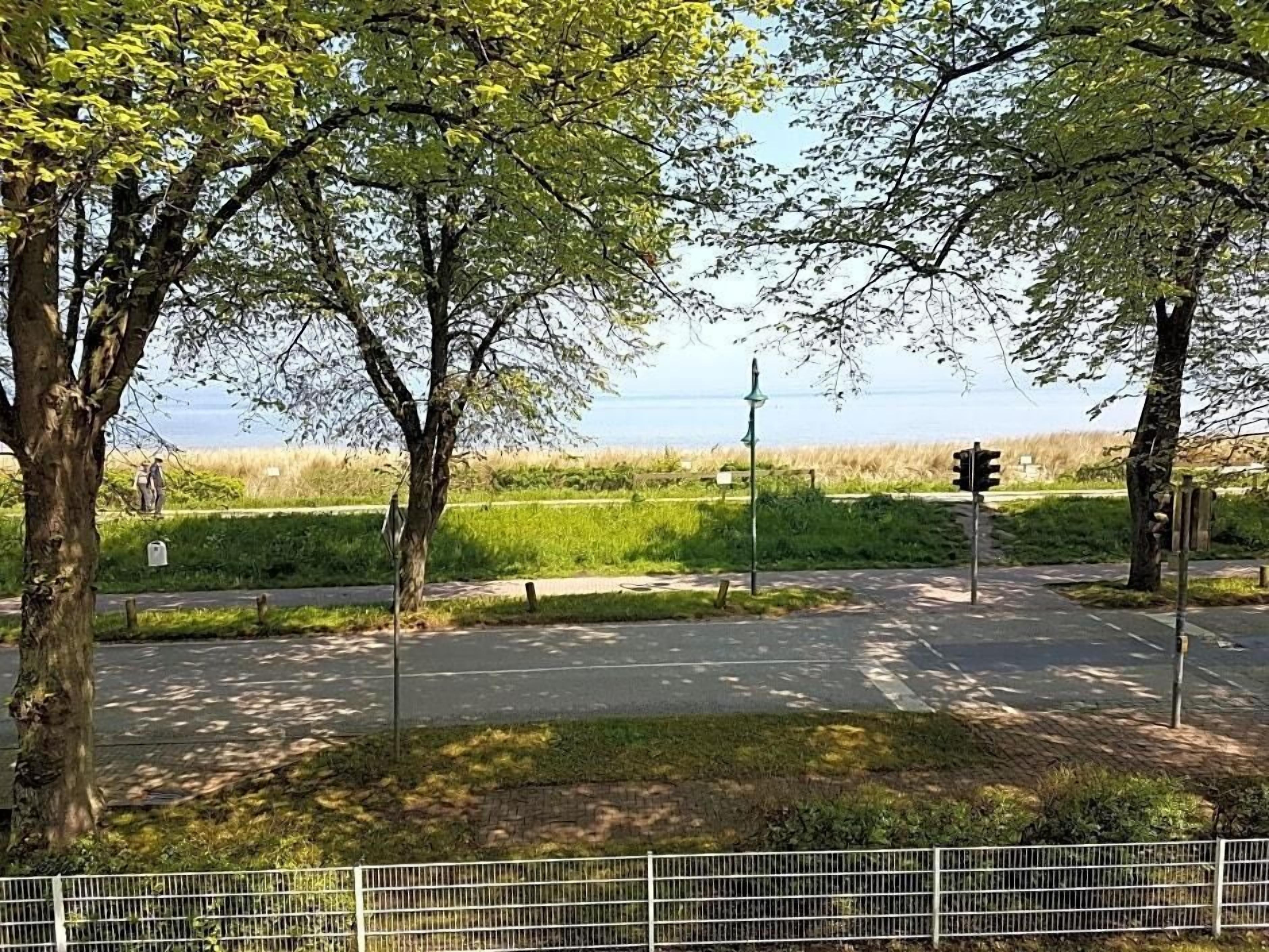 A road intersection with traffic lights, a pedestrian crossing, and a grassy area with trees.