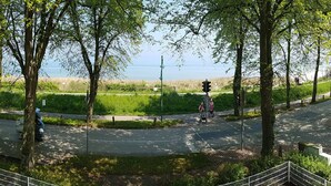 A park pathway with trees, a pedestrian crossing, and a view of a body of water. - Wichernhaus-Boltenhagen (Boltenhagen)