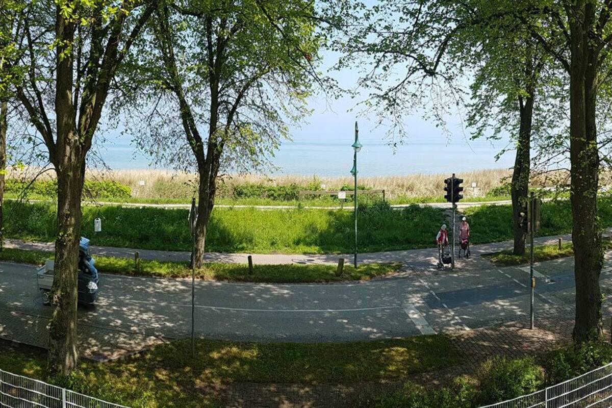 Ein Parkweg mit Bäumen, einer Fußgängerüberweg und Blick auf ein Gewässer.