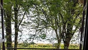 A wooden deck with a metal railing, overlooking a paved area with trees and greenery. - Wichernhaus-Boltenhagen (Boltenhagen)