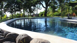 A swimming pool with a curved edge, surrounded by large rocks and palm trees. - L'Escapade Bellepierre (Saint-Denis)